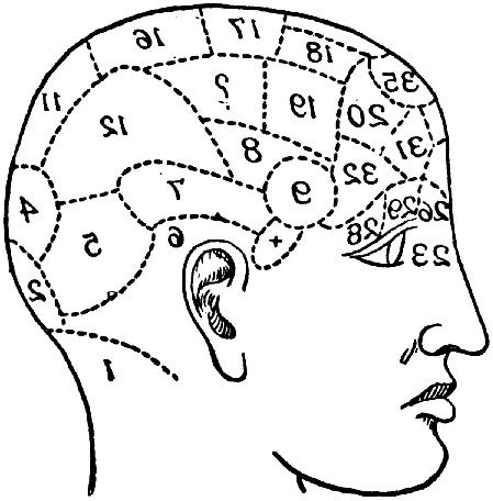 phrenology